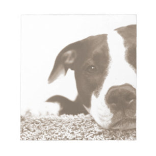 Bloco De Notas hate the deed not the breed friendly pitbull sepia