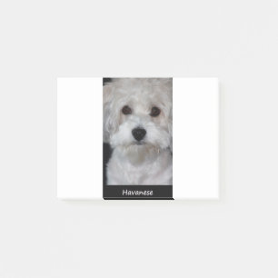 Bloco De Notas Havanese
