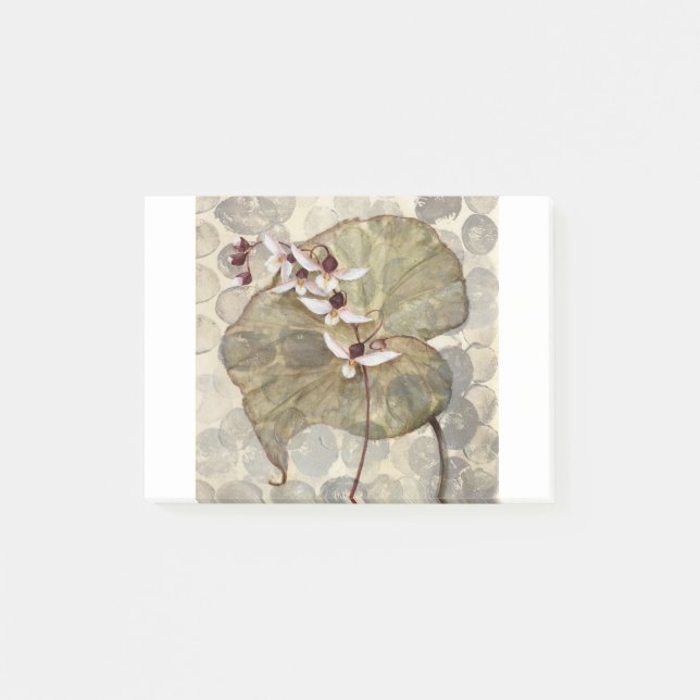 Bloco De Notas HAZ24 Amazónia 2.tif (Frente)