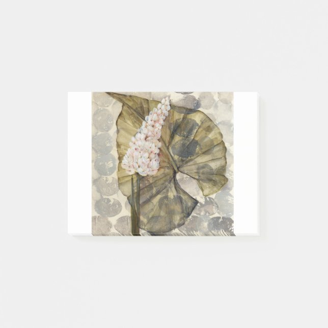 Bloco De Notas HAZ25 Amazónia 3.tif (Frente)