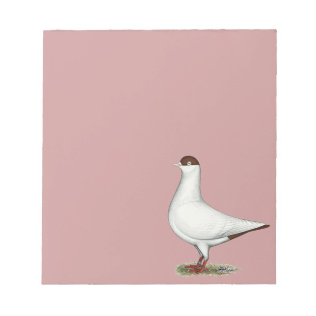 Bloco De Notas Helmet Pigeon Holandês (Frente)