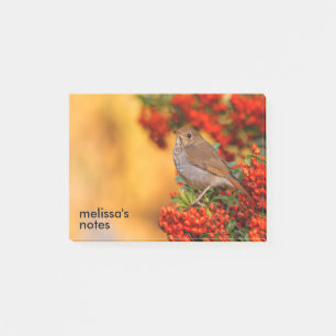 Bloco De Notas Hermit Thrush Songbird no espinho-de-espinho
