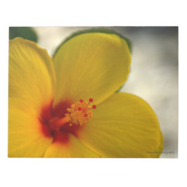 Bloco De Notas Hibiscus Amarelo