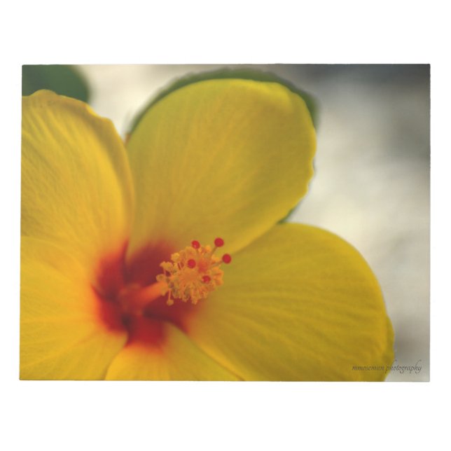Bloco De Notas Hibiscus Amarelo (Frente)