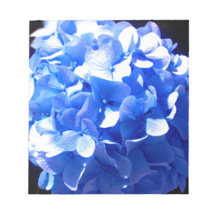 Bloco De Notas Hídrangas azuis-florais elegantes-de-cobalto