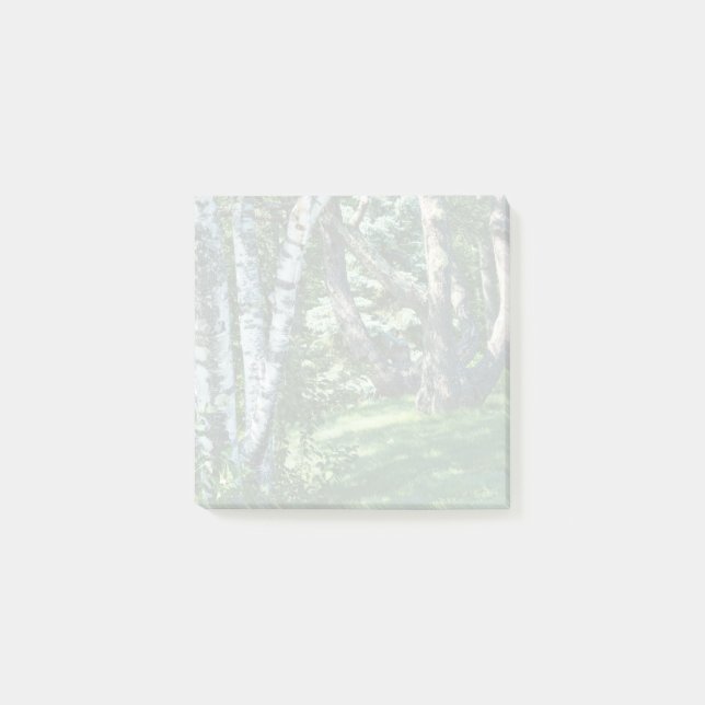 Bloco De Notas Hillside Trees (Frente)