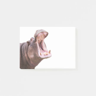 Bloco De Notas Hippo Big Bouth