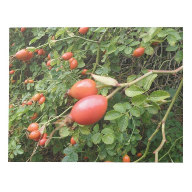 Bloco de notas Hips Rosa vermelha Juicy (Frente)