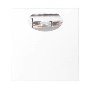 Bloco De Notas Honkers - Canadá Geese