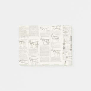 Bloco De Notas Horse Antique Advertising Newpaper Art