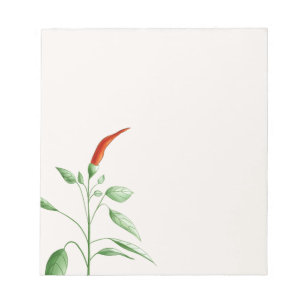 Bloco De Notas Hot Chili Pepper Plant Botanical Illustration