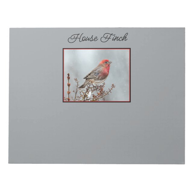 Bloco De Notas House Finch in Snow - Foto original (Frente)