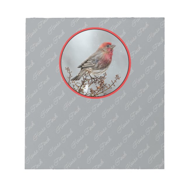Bloco De Notas House Finch in Snow - Foto original (Frente)