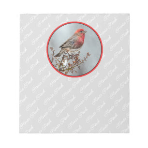 Bloco De Notas House Finch in Snow - Foto original