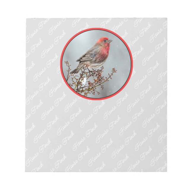 Bloco De Notas House Finch in Snow - Foto original (Frente)