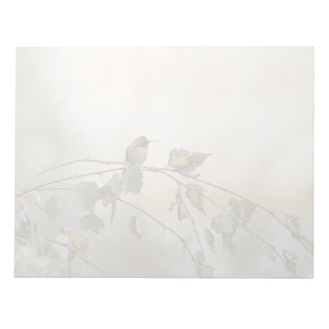 Bloco De Notas Hummingbird 5265 (Frente)