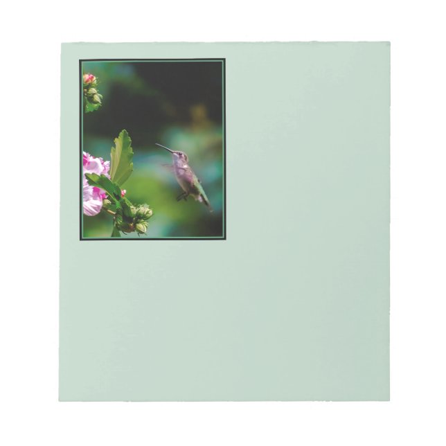 Bloco De Notas Hummingbird com garganta de rubi - Fotografia orig (Frente)