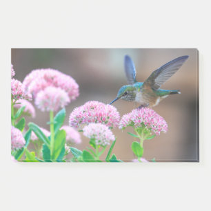 Bloco De Notas Hummingbird E Flores