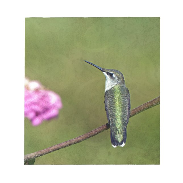 Bloco De Notas Hummingbird e Zinnia (Frente)