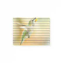 Hummingbird na luz da manhã cedo