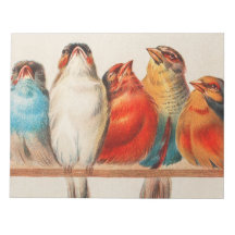 Ilustração colorida da safra de cinco pequenas ave