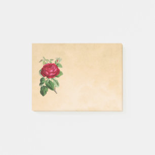 Bloco De Notas Ilustração de rosa vermelha em um plano de fundo