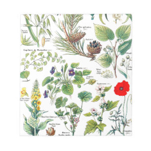 Bloco De Notas Ilustrações botânicas