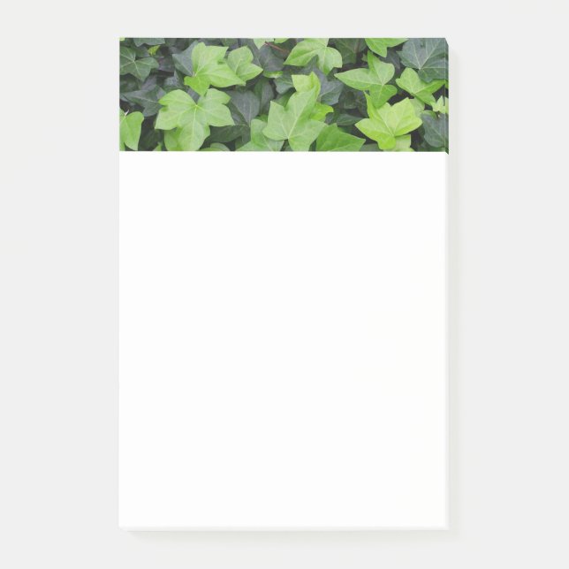 Bloco De Notas Impressão de Botânica de Ivy Verde (Frente)