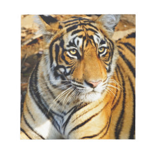 Bloco De Notas Índia, Sawai Madhopur, Ranthambore Nacional