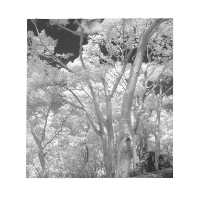 Bloco De Notas Infravermelho de árvores, edifícios e trilhas em L (Frente)