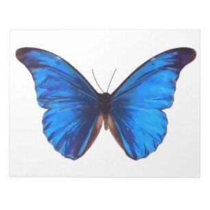 Bloco De Notas Insetos Da Borboleta Animal Natureza Morpho Azul P