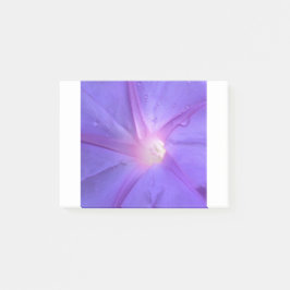 Bloco De Notas ipomée