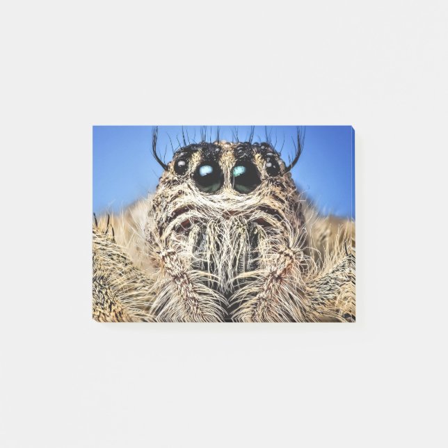 Bloco De Notas I've got my eyes on you! (Frente)