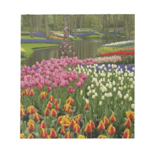 Bloco De Notas Jardim de tulipas e jacintos, Jardins Keukenhof,