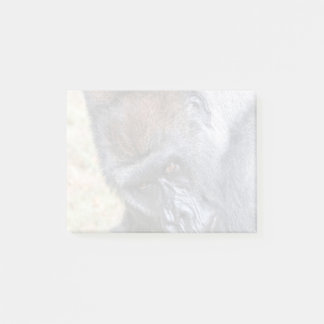 Bloco De Notas Kidogo (Willie B Jr) em Zoo Atlanta