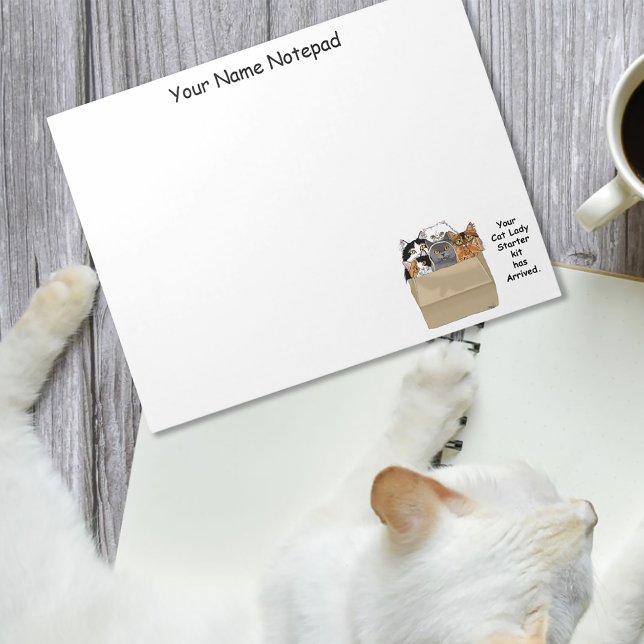 Bloco De Notas Kit de Iniciação de Lady Cat (Criador carregado)