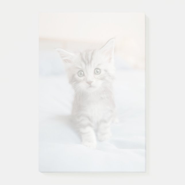 Bloco De Notas Kitten de Maine Coon (Frente)