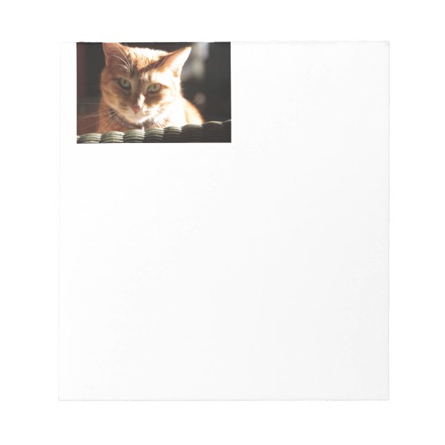 Bloco De Notas Kute Gatinho! (Frente)