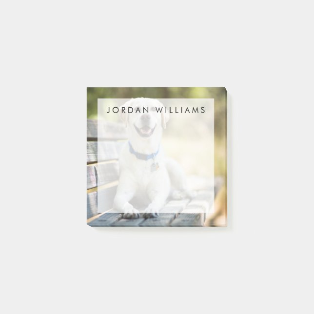 Bloco De Notas Labrador Amarelo Fica No Banco (Frente)