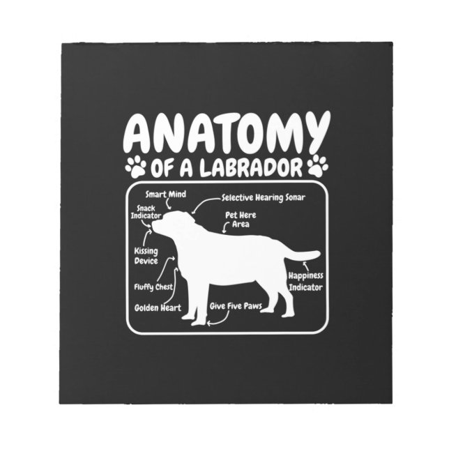 Bloco De Notas Labrador Dog Anatomy (Frente)