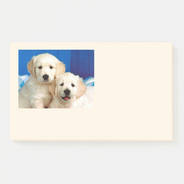 Bloco De Notas Labrador pups (Frente)