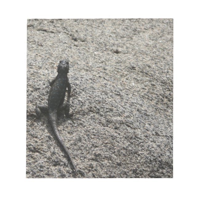 Bloco De Notas Lagarto Preto (Frente)