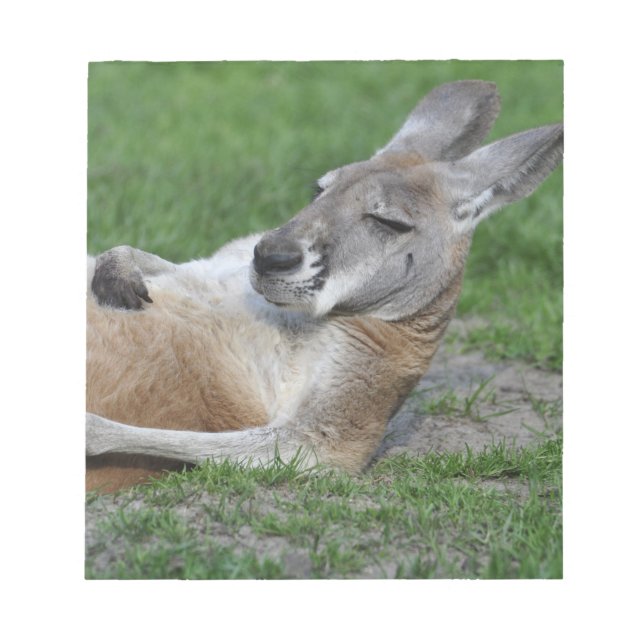 Bloco De Notas Laid-back Kangaroo (Frente)