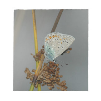 Bloco De Notas Laranja Branco Azul com Borboleta Preta