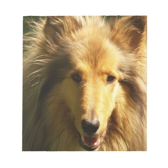 Bloco De Notas Lassie Collie Notepad (Frente)