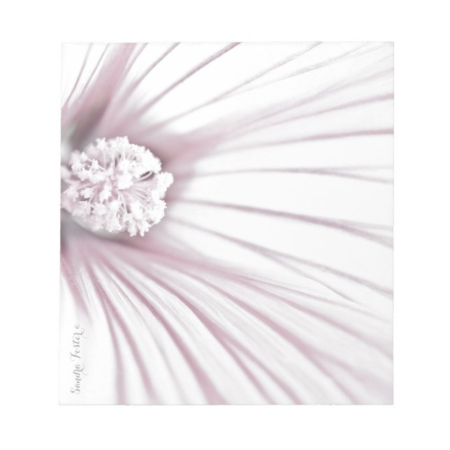 Bloco De Notas Lavatera Flower Macro (Frente)
