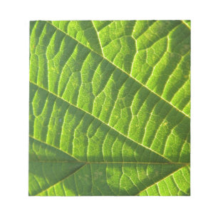 Bloco De Notas Legal literatura verde