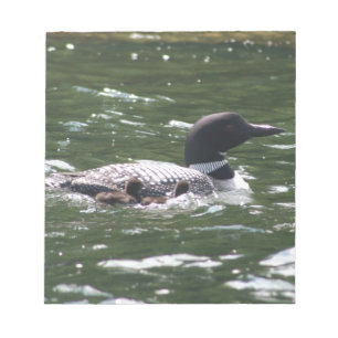 Bloco De Notas Leon Com Bebês 2