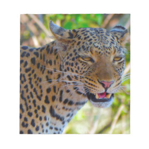 Bloco De Notas Leopardo Manchado