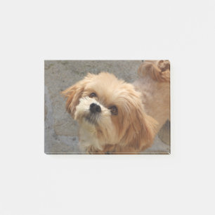 Bloco De Notas Lhasa Apso cão em um jardim